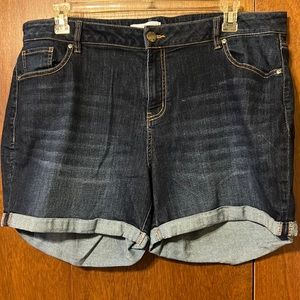 Denim Lane Bryant Shorts